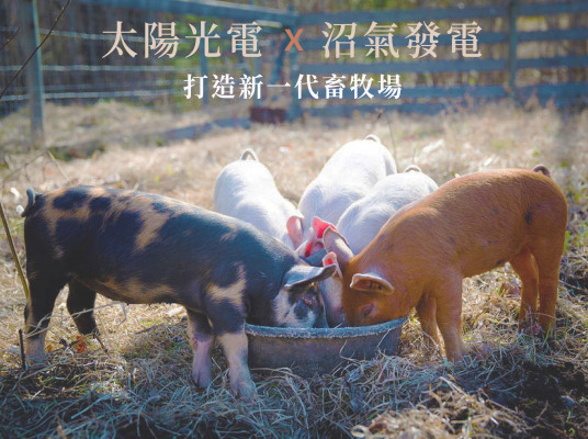 太陽光電結合沼氣發電 打造新一代畜牧場