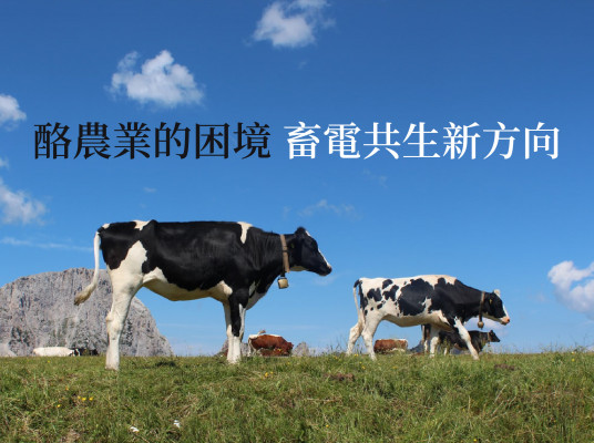 酪農業的困境 畜電共生新方向