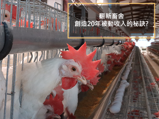 畜舍新面貌 創造20年被動收入