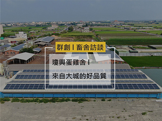 健康的雞｜從打造舒適環境開始(2022.8月更新)