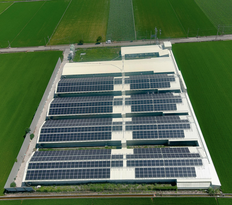 卜蜂東勢種雞畜牧場