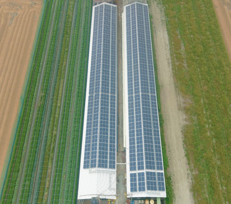 金寶畜牧場二場